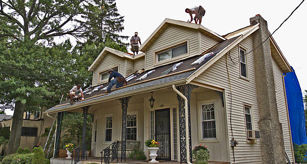 Best Gutter Installation and Roofing  in Notre Dame, IN